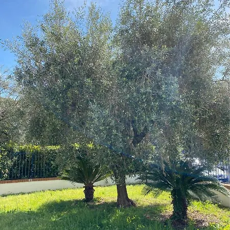Residenza Le Spiagge * Sperlonga